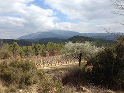 FORMATION ACCOMPAGNATEURS RANDONNEES PEDESTRES