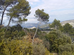 FORMATION ACCOMPAGNATEURS RANDONNEES PEDESTRES