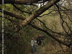 FORMATION ACCOMPAGNATEURS RANDONNEES PEDESTRES