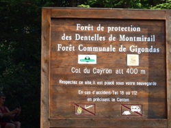 GIGONDAS COL DU CAYRON