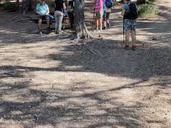 GIGONDAS LE ROCHER DU LION