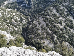 LA GUARRIGUE DE MOLLANS