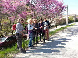 LA MONTAGNE DE PEITIEUX
