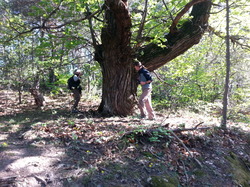 LA MONTAGNE DE PEITIEUX