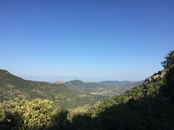 LA ROCHE SUR LE BUIS