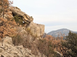 LA ROCHE SUR LE BUIS