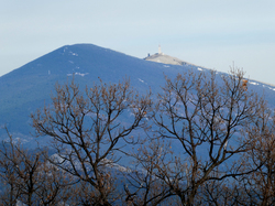 LAFARE-LA ROQUE ALRIC