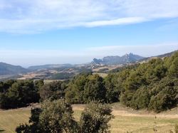 Les crêtes du Mont st Amand