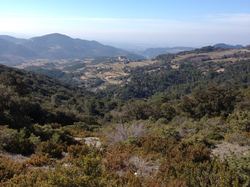 Les crêtes du Mont st Amand