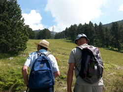 LE MONT VENTOUX