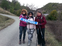 LE ROCHER DU LION BUIS LES B