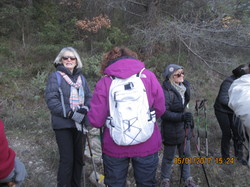 LE ROCHER DU LION BUIS LES B