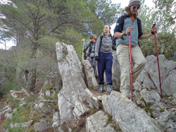 LE ST JULIEN BUIS LES BARONNIES