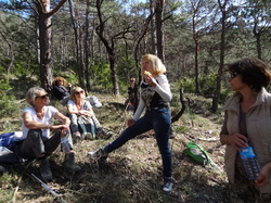 LE TOUR DU ST JAUME NYONS