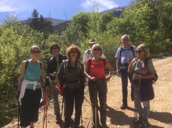 LE VENTOUX FACE NORD