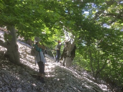 LE VENTOUX FACE NORD