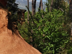 LES DEMOISELLES COIFFEES