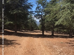 LES GORGES DE LA NESQUE