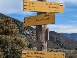 LES HAUTEURS DE BUIS