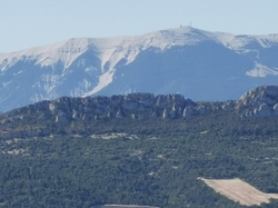 LES LAVANDES DU POET SIGILLAT