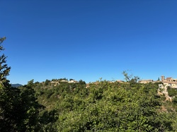 LES LAVANDES DU POET SIGILLAT