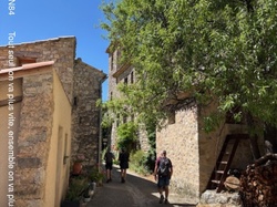 LES LAVANDES DU POET SIGILLAT