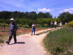 Les Ocres  de Mormoiron