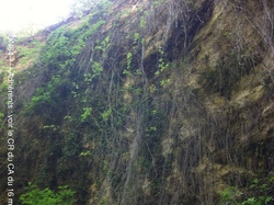 Les Ocres  de Mormoiron