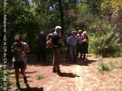 Les Ocres  de Mormoiron