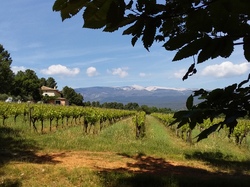 Les Ocres  de Mormoiron