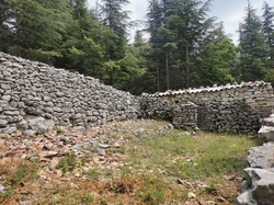 LES PENTES DU VENTOUX