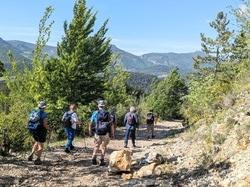 LES PIVOINES DE LACHAUX