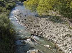 LES PIVOINES DE LACHAUX