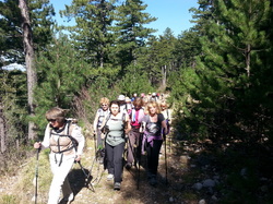 LES RAMAYETTES LE VENTOUX