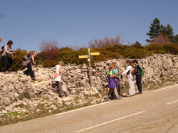 LES RAMAYETTES LE VENTOUX