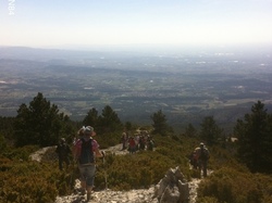 LES RAMAYETTES LE VENTOUX