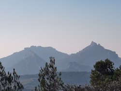 MALAUCENE OPPIDUM DU CLAIRIER