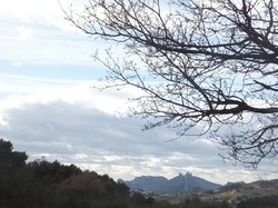 MALAUCENE COL DE LA CHAINE