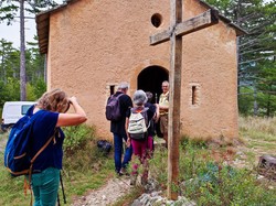 MALAUCENE LE GROSEAU