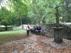 MALAUCENE LE GROSEAU