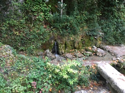 MALAUCENE LE GROSEAU