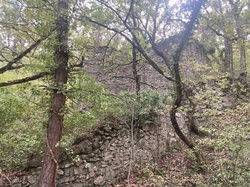 MALAUCENE LE GROSEAU