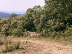 MALAUCENE LES GIPIERRES