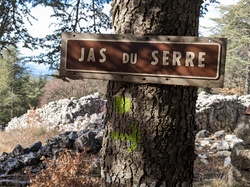 LE VENTOUX SUD-7 JAS