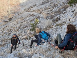 LE VENTOUX SUD-7 JAS