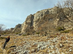 LE VENTOUX SUD-7 JAS