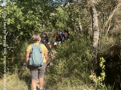 MAZAN : CIRCUIT DES CHAPELLES