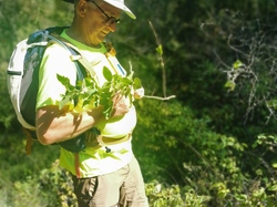 MAZAN : CIRCUIT DES CHAPELLES