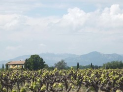 MAZAN : Les Chapelles