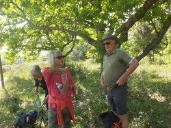 MAZAN : Les Chapelles